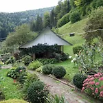 красний краєвид *