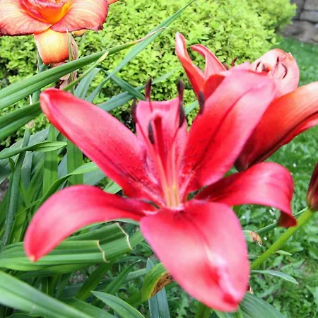 красний краєвид * Яремча