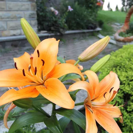 Дом отдыха красний краєвид