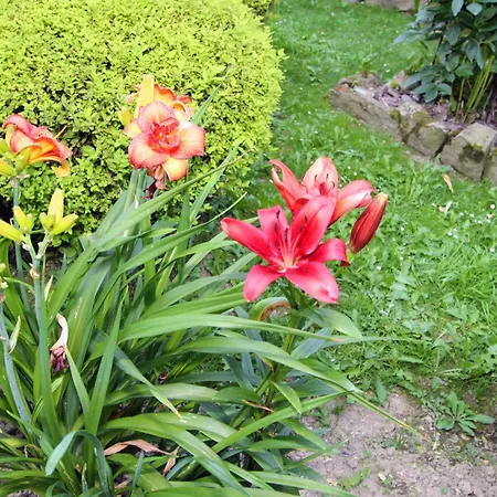 Дом отдыха красний краєвид *