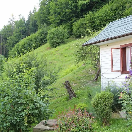 красний краєвид *