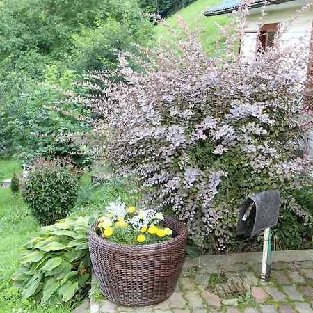 красний краєвид Дом отдыха