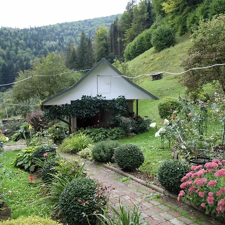 красний краєвид *