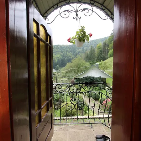 красний краєвид Яремча